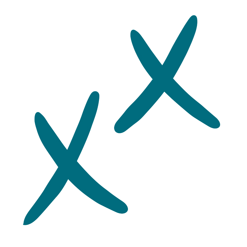 xx_Artwork Murwalls Logo