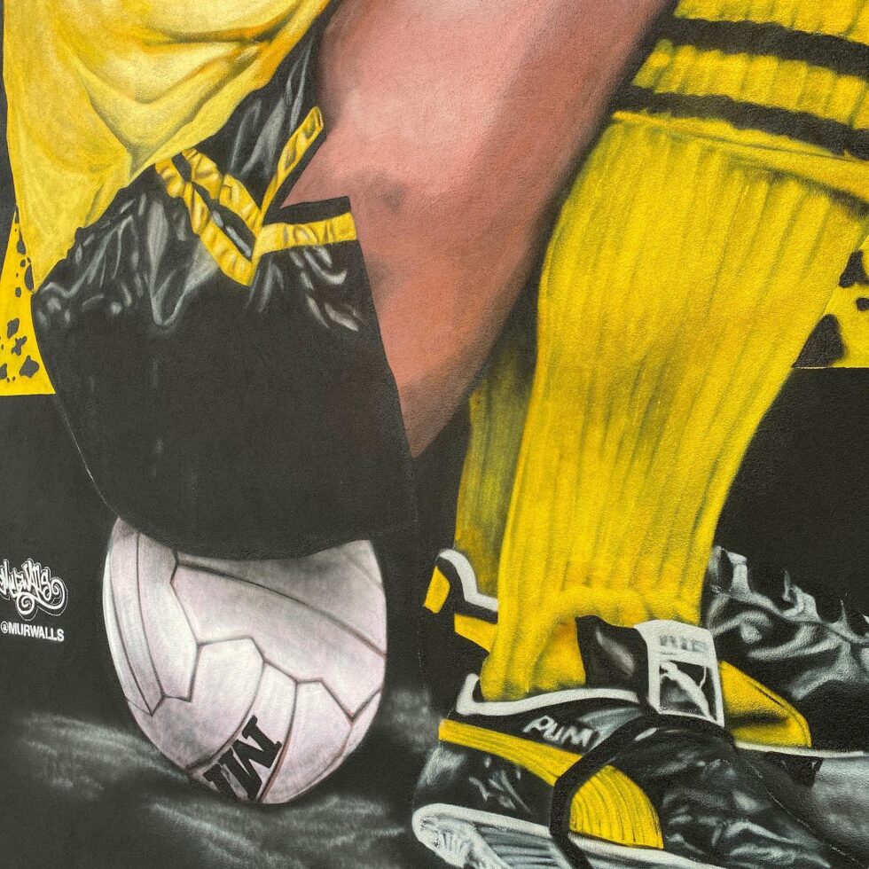 Sir Elton John Watford FC