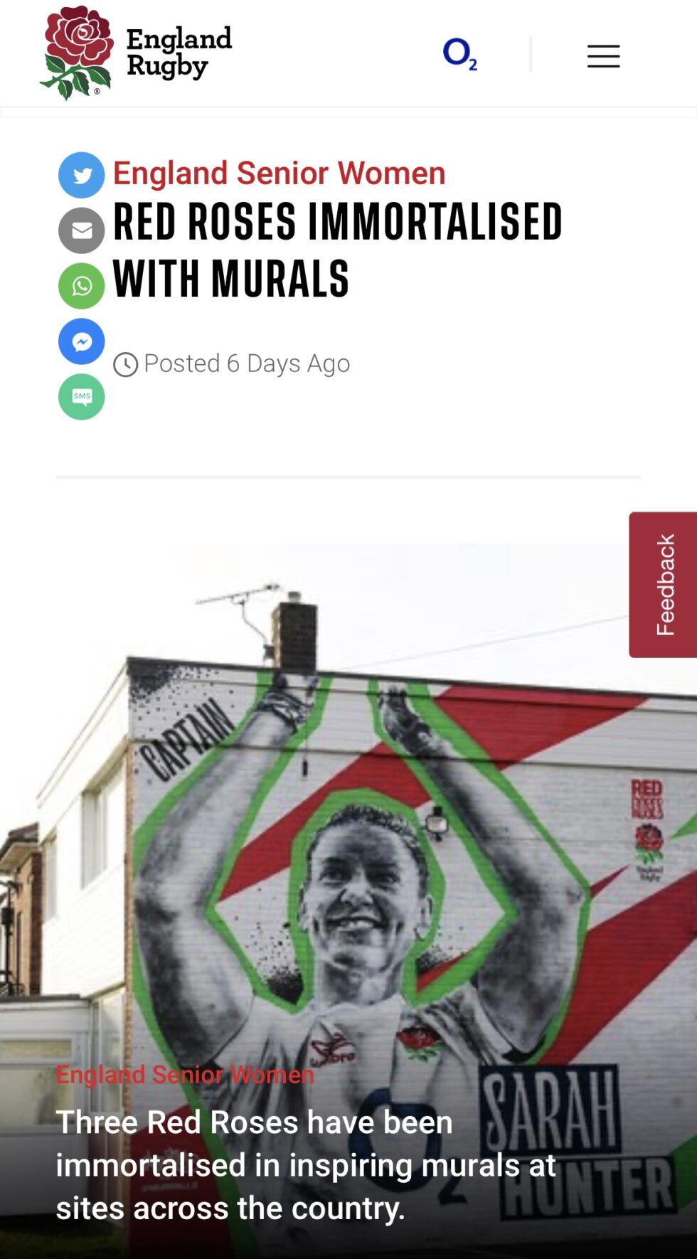 Red Roses immortalised with murals