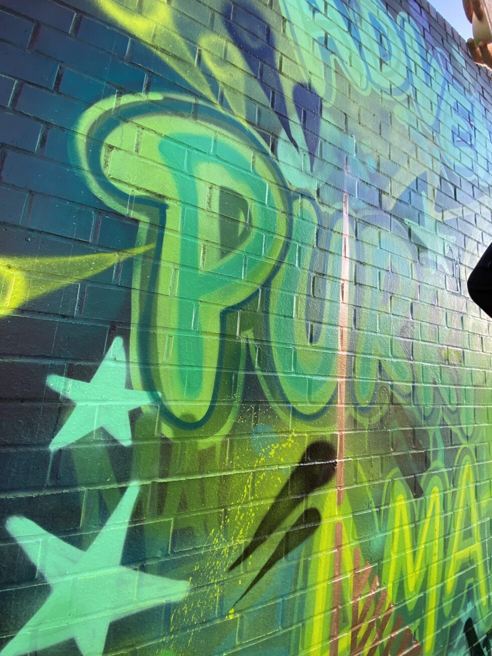 The Amazing Maurice artwork